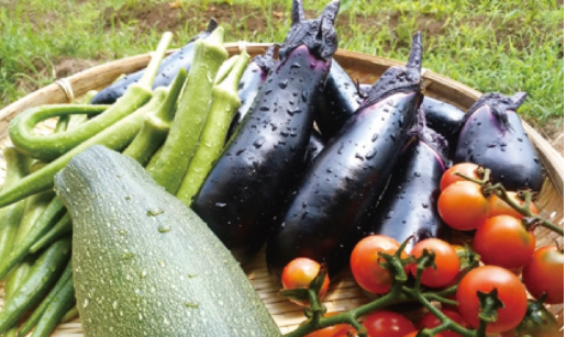 循環型農業事業